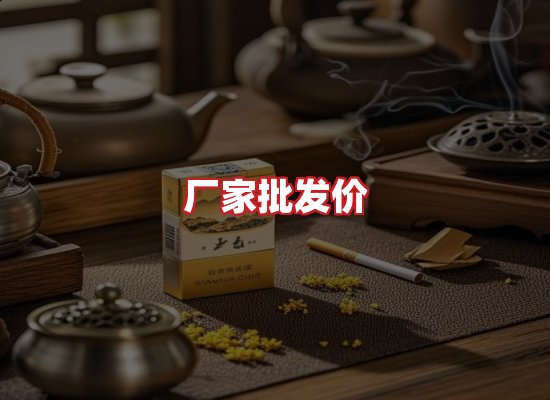 专业团队